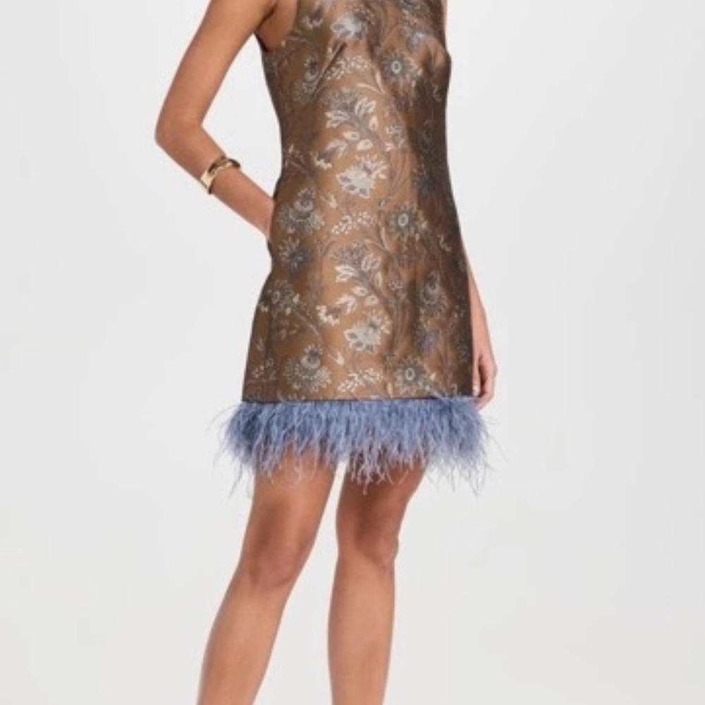 Cara Cara Tay Feather-Trimmed Jacquard Mini Dress – Jacquard Garden – Size L - Picture 8 of 15